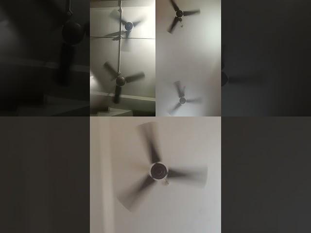 Ceiling #fan #viralvideo #ceilingfan #video #kipasangin #viralshorts #youtubeshorts #ytshorts #sound