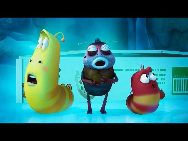 STOP FREEZE  | LARVA | Cartoons for Kids | WildBrain Blast