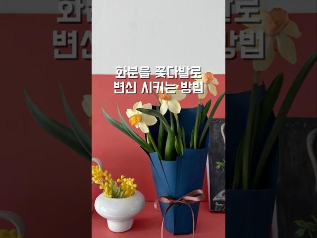 화분을 꽃다발로 변신 시키는 방법🪴️