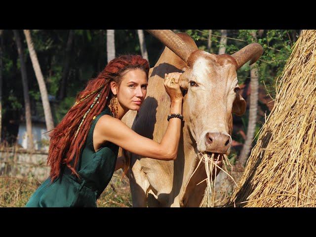 Переезд в Индию. Часть 1