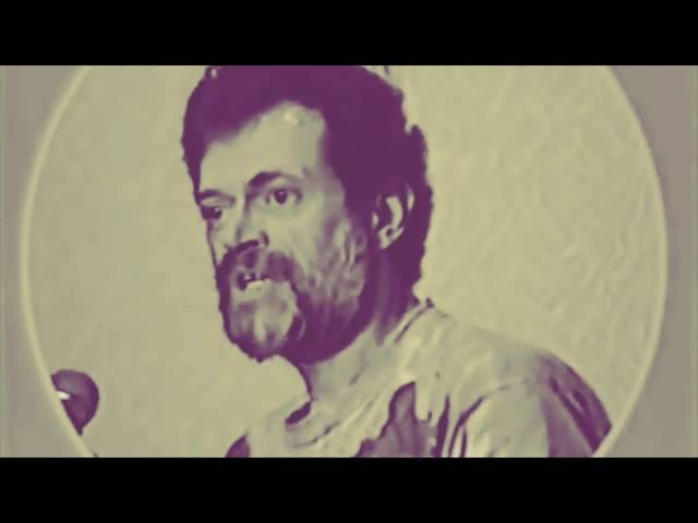 If You Could Have Anything - Terence McKenna