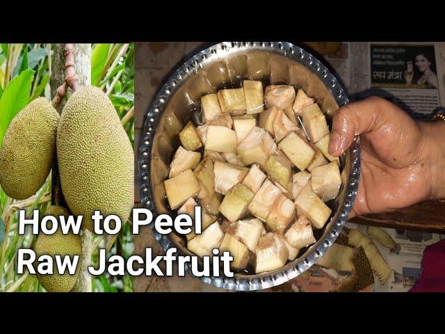 How to Peel Raw Jackfruit | How to Cut Raw Jackfruit at Home | এঁচোড় কাটার সহজ পদ্ধতি |Echor Cutting