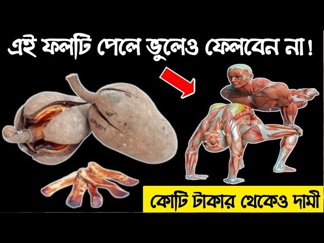 ফলটির মধ্যে লুকিয়ে আছে গোপন কাজ ! পাবেন বাড়ির পাশেই, মেহগনি গাছের ফলের উপকারিতা