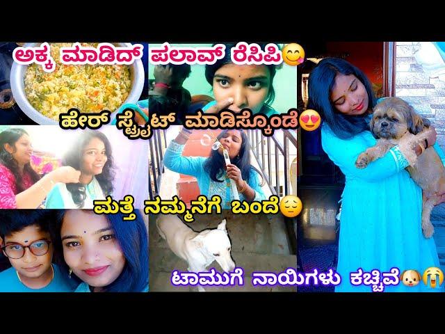 282vlog...ಪಲಾವ್ ಹೀಗೂ ಮಾಡಬೋದ/ಆಟ ಆಡ್ತಾ ಮೂರು ದಿನ ಕಳಿದಿದ್ದೆ ಗೊತ್ತಾಗಿಲ್ಲ/ಮೂಗು ಬಟ್ಟು ಮುರ್ಕೊಂಡೆ/ವಿನ್ನಿ