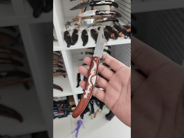مطوه خوجه بكستاني