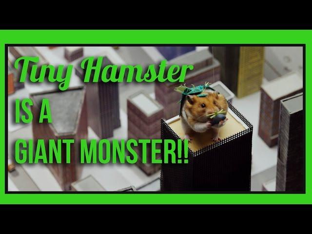 Ep 7 - Tiny Hamster Turned Into a Giant Monster