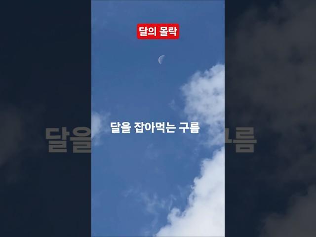 달을 먹고 사는 구름 #달의몰락 #김현철 #달