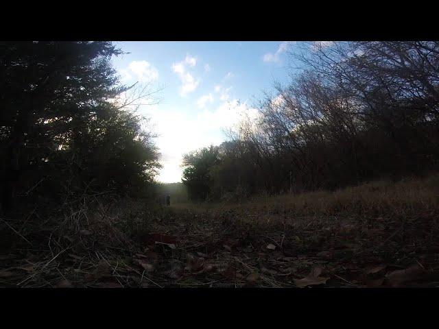 Big Cedar Wilderness Trail Hike