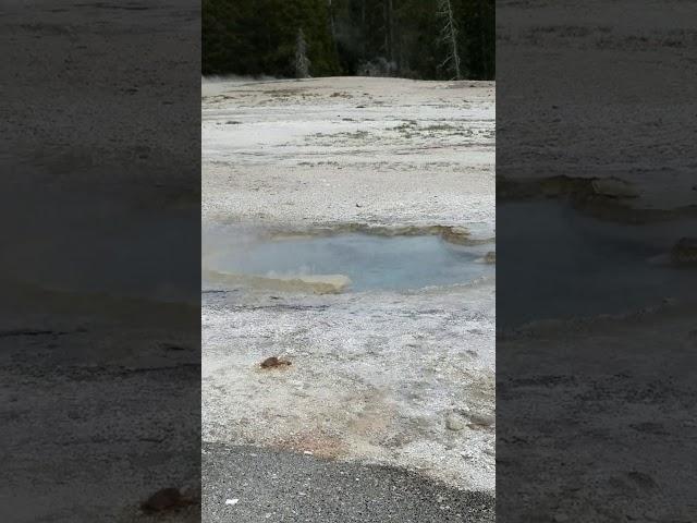 Yellowstone National Park Geyser #yellowstonenationalpark