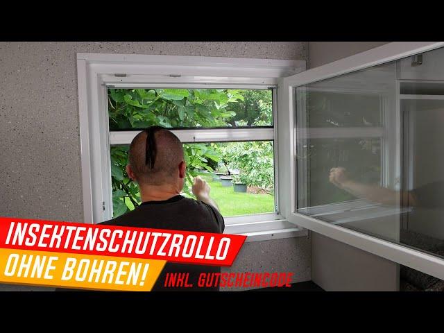 Insetto StarlineFix Insektenschutzrollo, Montage ohne bohren, mit GUTSCHEINCODE 2024! Fliegenschutz