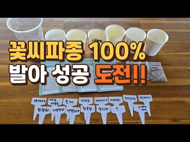 꽃씨 파종, 100% 발아 성공 도전!!