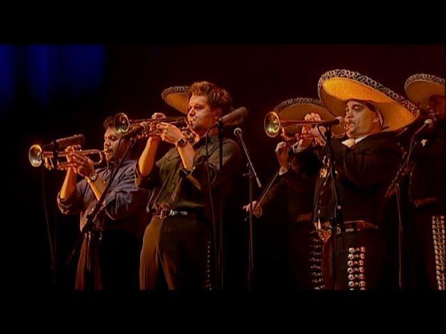 Calexico - El Picador feat. Mariachi Luz de Luna