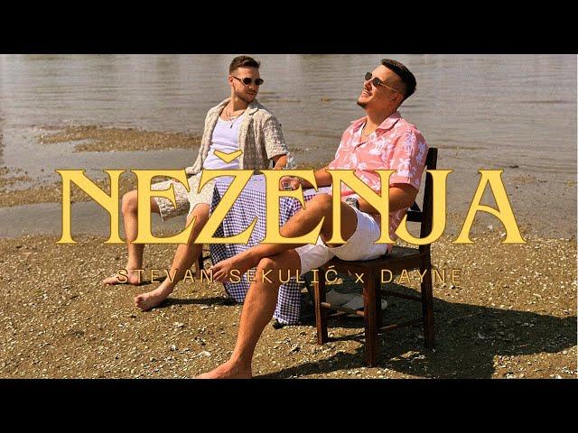 STEVAN SEKULIC & DAYNE - NEZENJA (OFFICIAL VIDEO 2024)