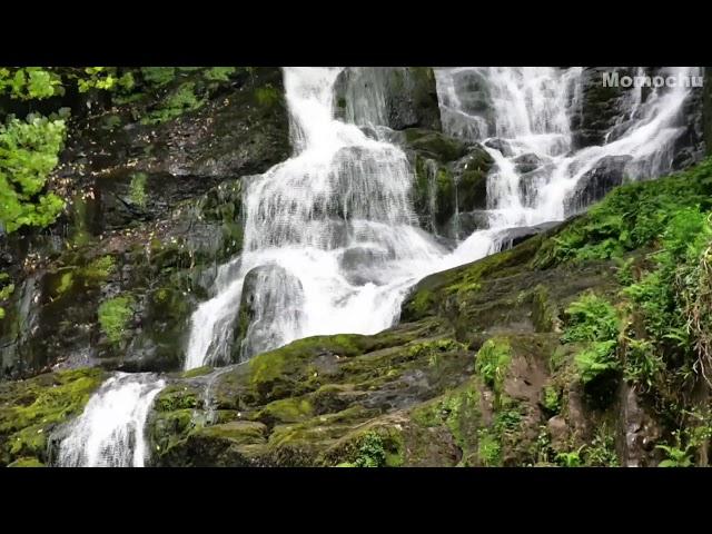 【White Noise】"Waterfall Sounds",10 Hour,ASMR,Relax,Stream,Water,River,Lake,Waves