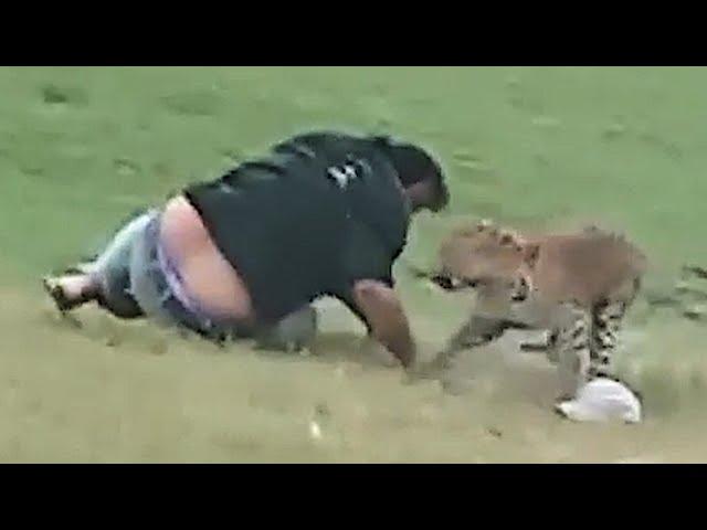 Friends having picnic miraculously survive leopard attack | SWNS