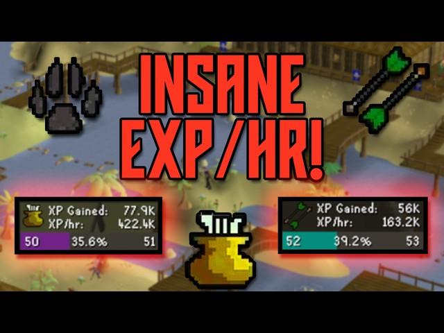 INSANE LEVELING - Trouble Brewing Guide (OSRS)