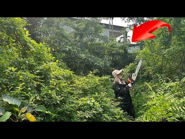 Clean Abandoned House Full transformation cut Overgrown grass clean up garden Relax Brain