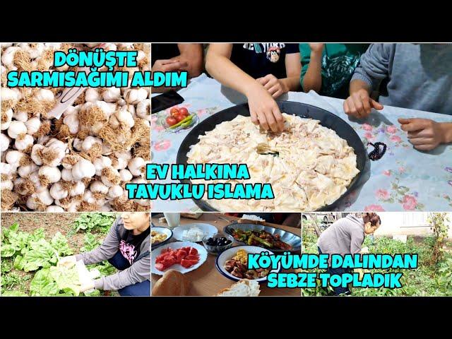 KÖYDE DALINDAN SEBZE TOPLADIM. SARMISAGIMI ALDIM. GÖRÜMCEMLERE TAVUKLU ISLAMA YAPTIM.