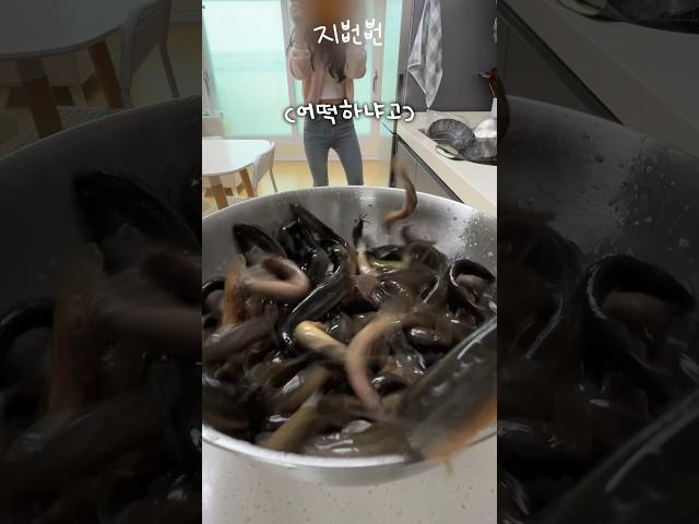 미꾸라지VS지뻔뻔