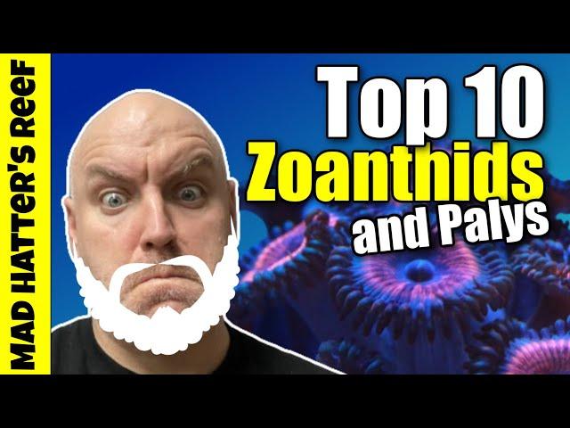 Top 10 Zoanthids and Palys