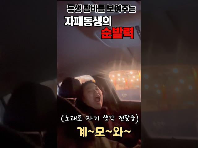 동생 짬바를 보여주는 자폐동생의 순발력 #브이로그 #일상
