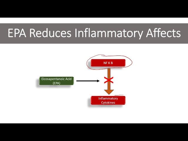 Omega 3 inflammation