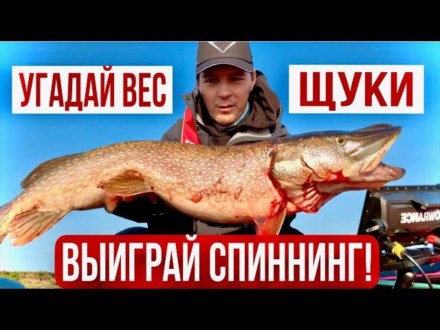 РЫБАЛКА НА ТРОФЕЙНУЮ ЩУКУ! УГАДАЙ ВЕС ЩУКИ И ВЫИГРАЙ СПИННИНГ!