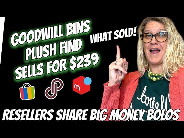 Goodwill BINS Plush Sells for $239 Resellers Share What Sold 2024