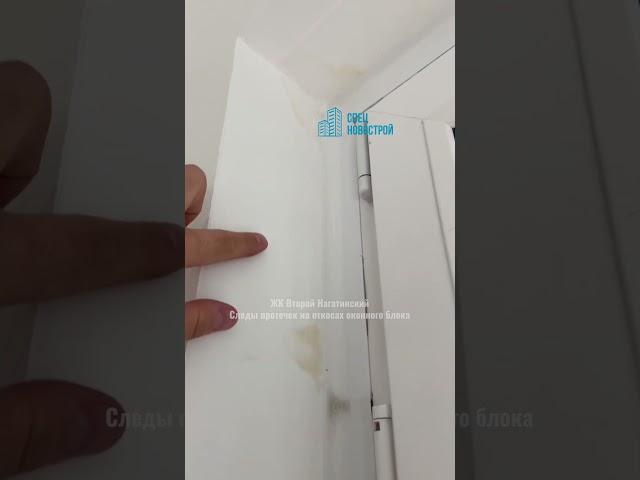 А потом еще плесень появится... #shorts
