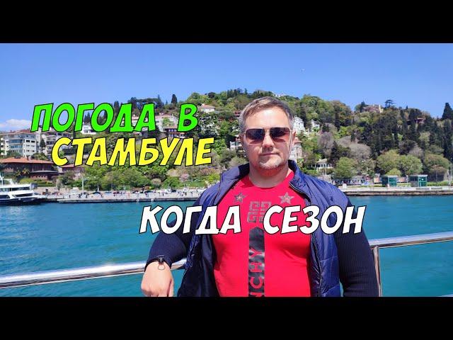 Погода в Стамбуле - когда ехать лучше всего