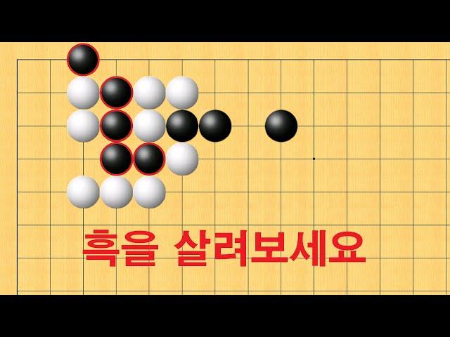 바둑 맥점 사활 - 흑을 못 살리면 만년하수에서 벗어 날 수 없습니다