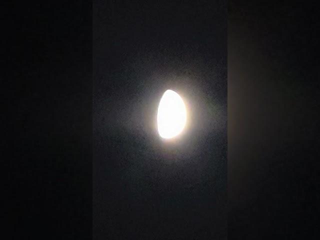 달 확대 축소