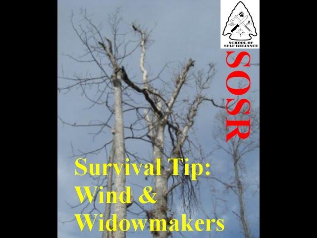 Survival Tip- Wind & Widowmakers