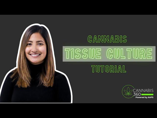 Cannabis Tissue Culture Tutorial