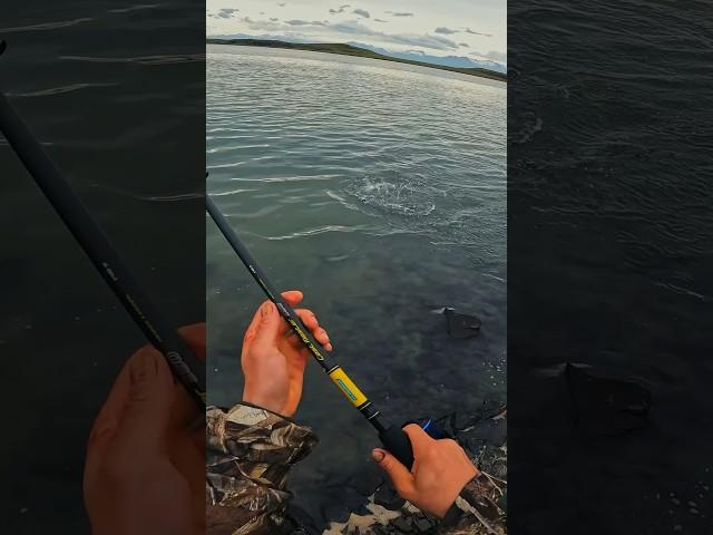 River Fishing ⬆️- #iceland