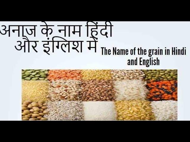 Names of Cereals and grains in Hindi and English   अनाज के नाम