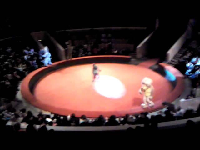 part1 MADAGASKAR-SHOW by Vyacheslav Farberov. Rosgoscirk 2012