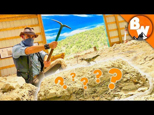 Digging Up Jurassic Treasure!