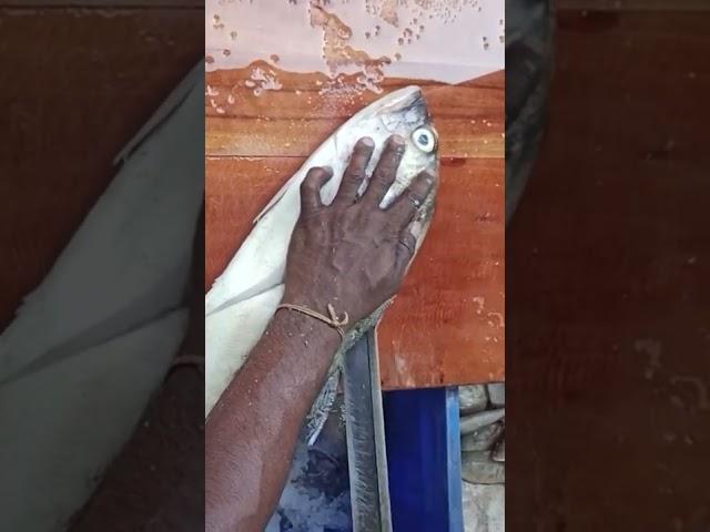 Big Fish Cutting Skill..