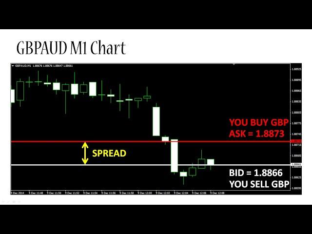 What is a Forex Spread - ForexBoat Trading Academy