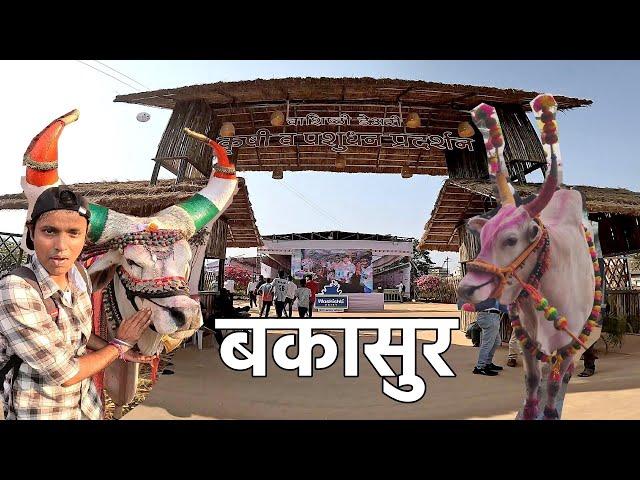 कोकणातल्या शेतकऱ्यांनी एकदा तरी पहावं असं  कृषी प्रदर्शन | Vashishti Agriculture Exibition 2025