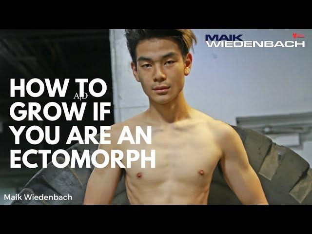 How to Grow if You Are An Ectomorph