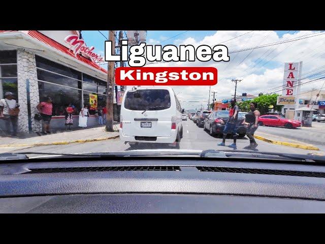 All You Need In One Place | Liguanea Kingston Jamaica | Half Way Tree To Old Hope Road