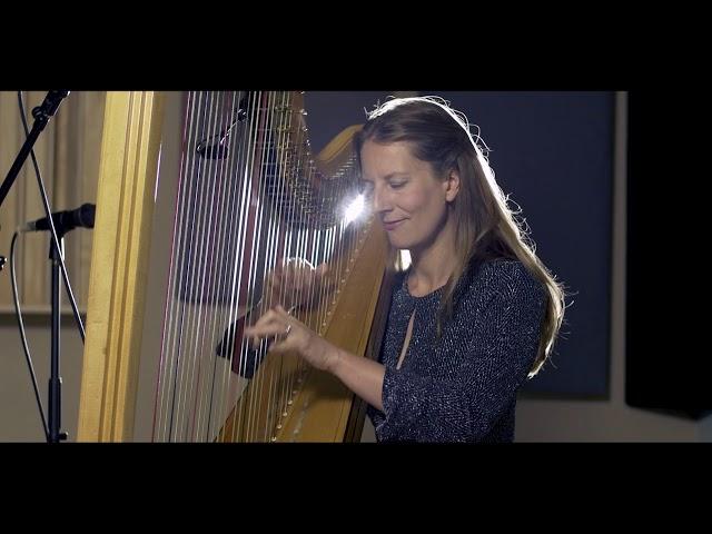 Everlong on Harp