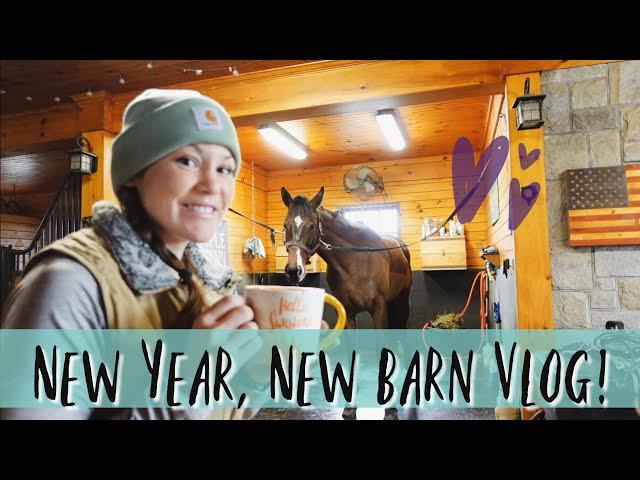 New Year, New Barn Vlog!! •• Barn Chores & Baby Thoroughbred Things // EQUESTRIAN VLOG