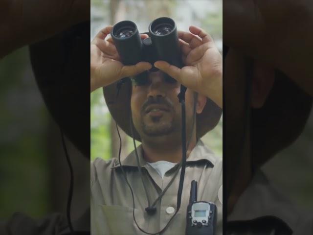 The Magic of Trekking Trails#explore#nature#trending#travel#jungle#trekking