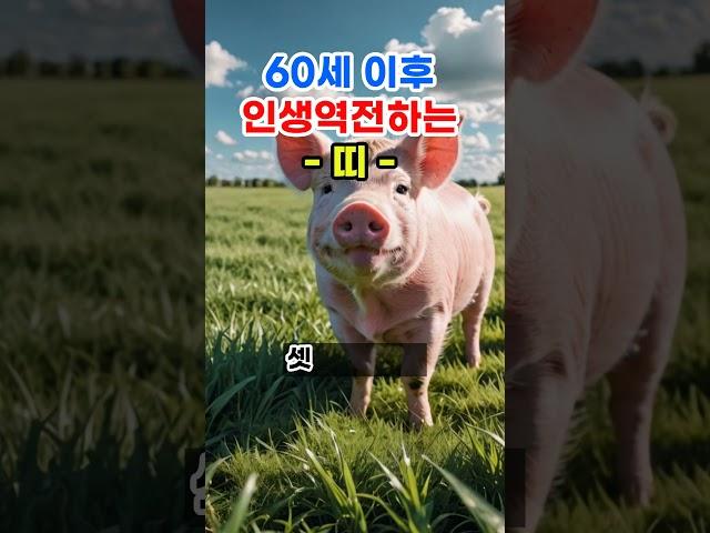 60세 이후 인생역전하는 띠 #로또 #재물운 #띠별운세 #오늘의운세 #타로 #신점