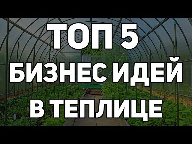 ТОП 5 ПРИБЫЛЬНЫХ БИЗНЕС ИДЕЙ ВЫРАЩИВАНИЯ В ТЕПЛИЦЕ / ТЕПЛИЧНЫЙ БИЗНЕС 2019