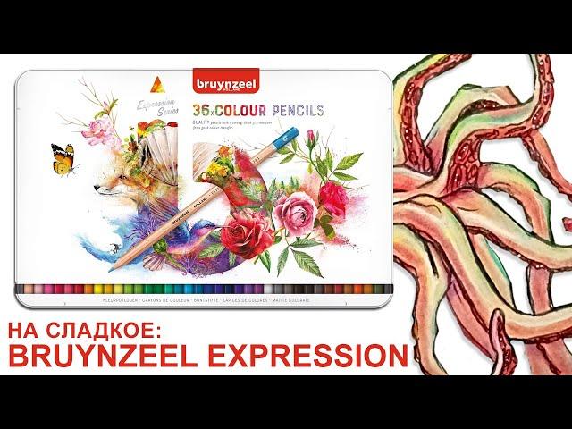 На сладкое: Bruynzeel Expression 36 цветов