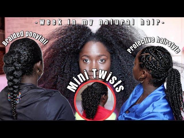 Behind The Scenes Of Natural Hair Growth Routine | Braided Ponytail ,Protective style & Mini twists